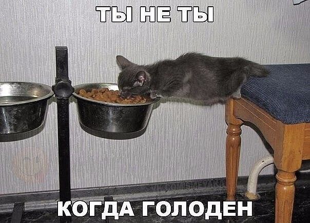 тъш ЕЩЁ ЁЁ
