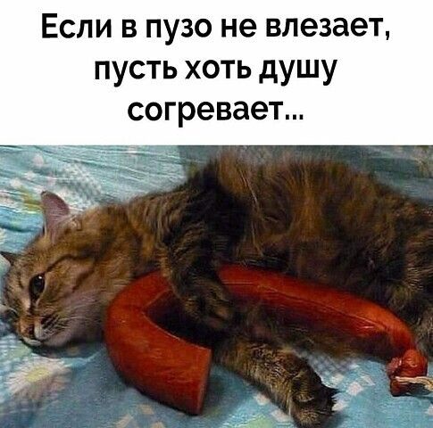 Если в пузо не влезает пусть хоть душу согревает