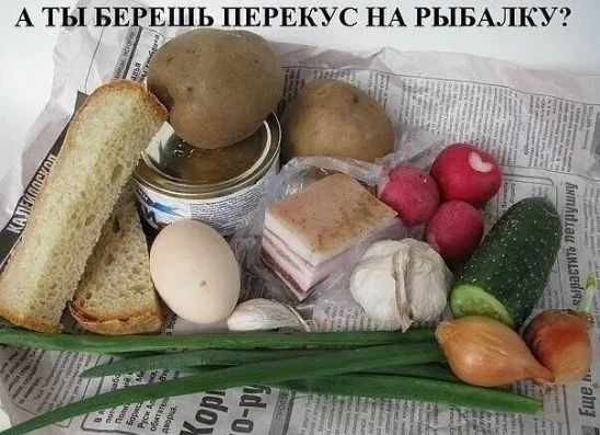 А ТЫ БЕ ЕШЬ ПЕРЕКУС НА РЫБАЛКУ