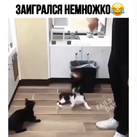 ЗАИГРАЛИ НЕШЮЖКШ тисп