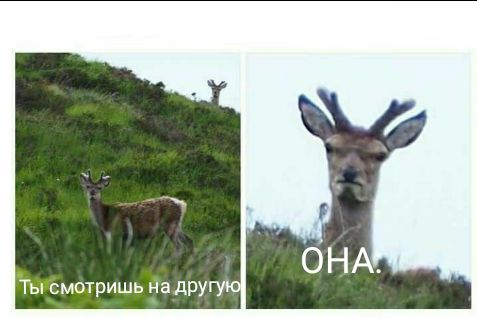 Ты смотришь на дру