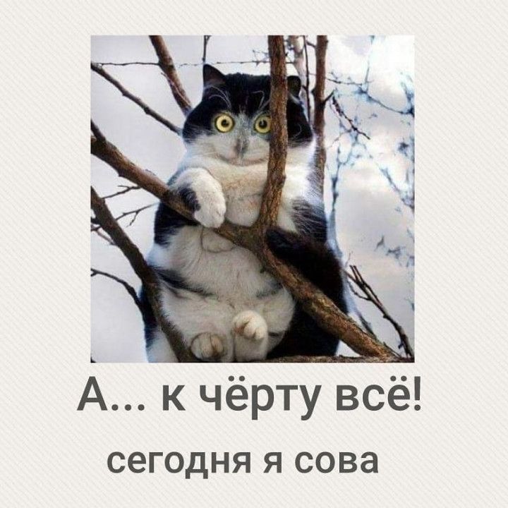 _ д _ А к чёрту всё сегодня я сова