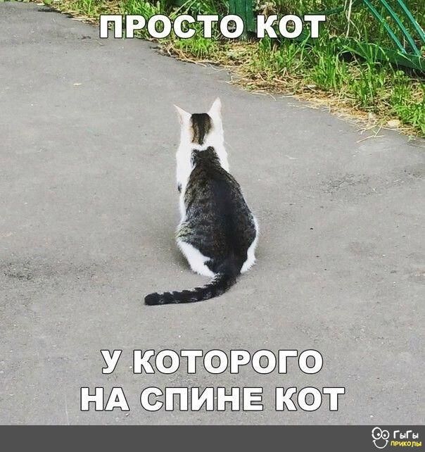 7 ВЗЁЁ БЛА ППЕШЁПЁ Ё