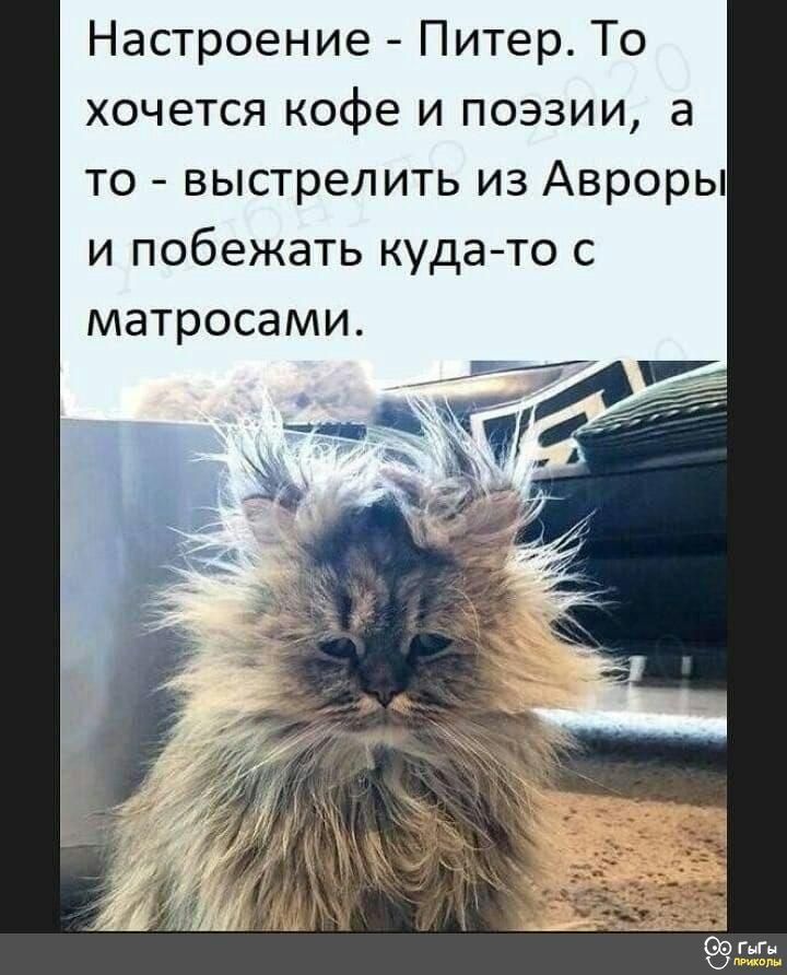 Настроение Питер То хочется кофе и поэзии а то выстрелить из Авроры и побежать кудато с матросами