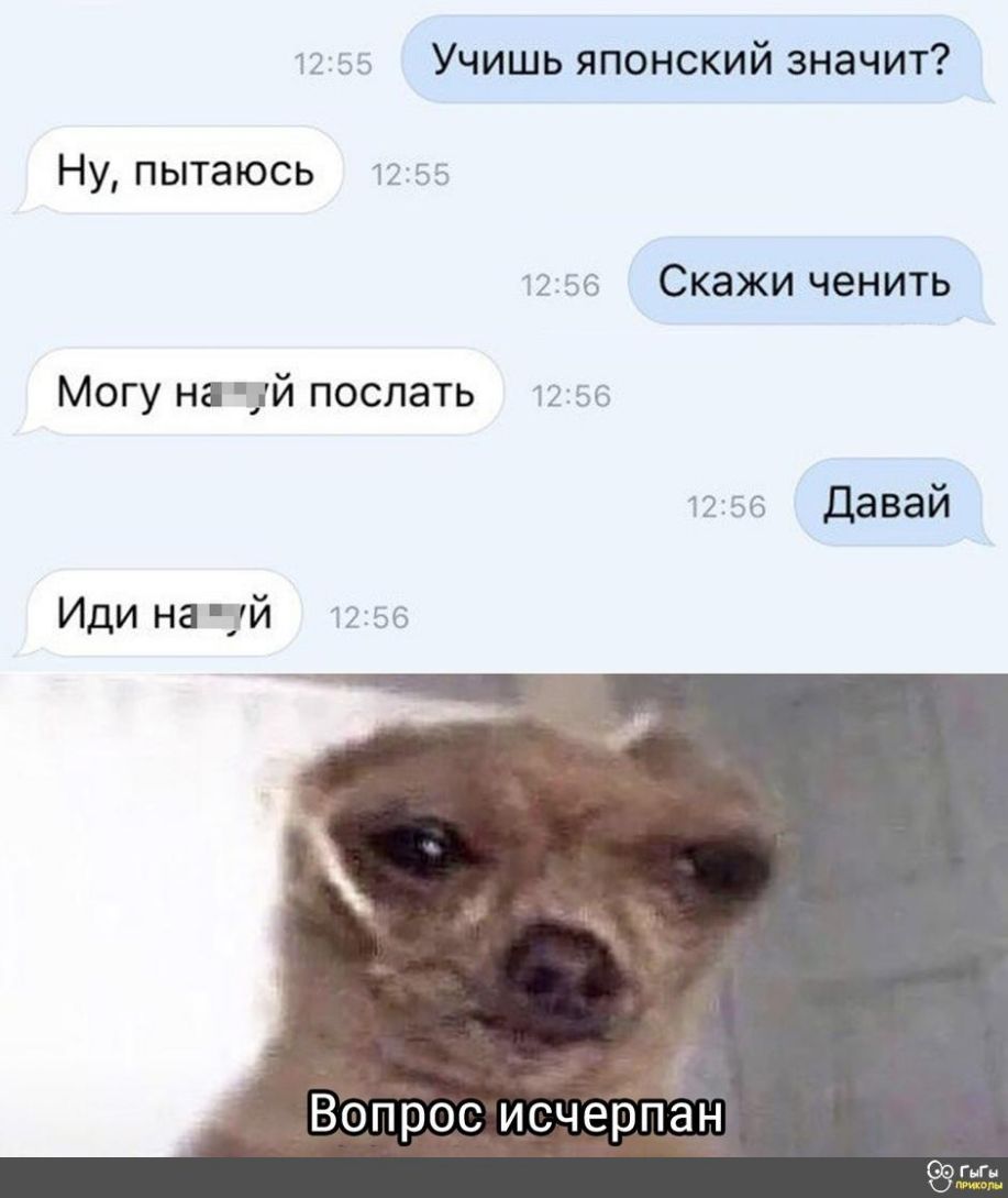 1255 Учишь японский значит Ну пытаюсь 1255 1256 Скажи ченить Могу на 3й послать 12 55 1256 давай Иди на чий 1256 Вопрос исчерпан