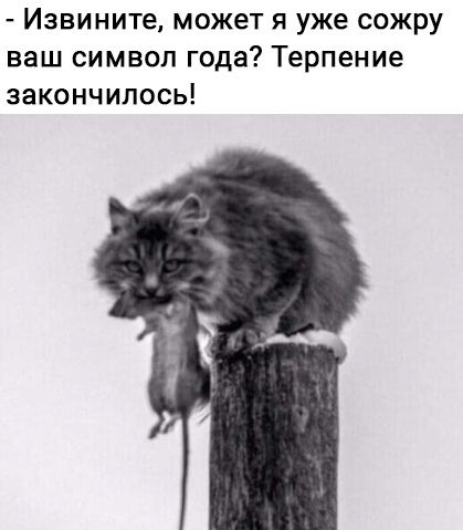 Извините может я уже сожру ваш символ года Терпение закончилось