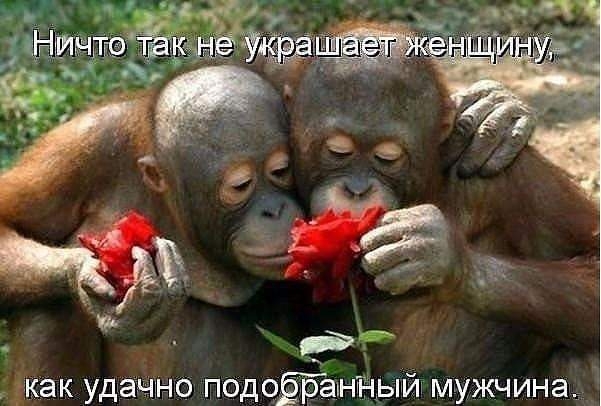 _как уджажно подоёіранн ный мужчина