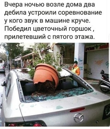 Вчера ночью возле дома два дебила устроили соревнование у кого звук в машине круче Победил цветочный горшок прилетевший с пятого этажа