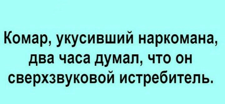 Комар укусивший наркомана два часа думал что он сверхзвуковой истребитель