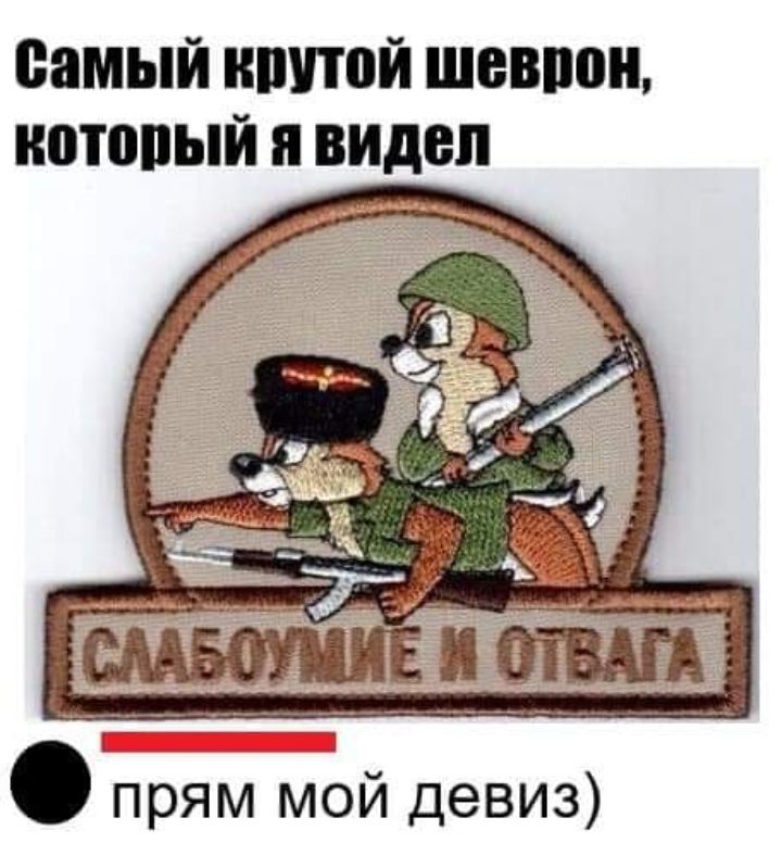 самый ншпой шеврон нотопый я видел прям мой девиз