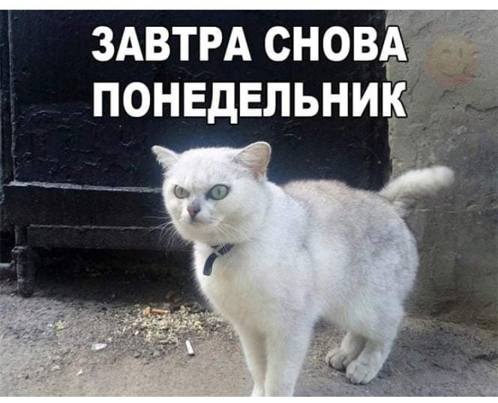 ЗАВТРА снов