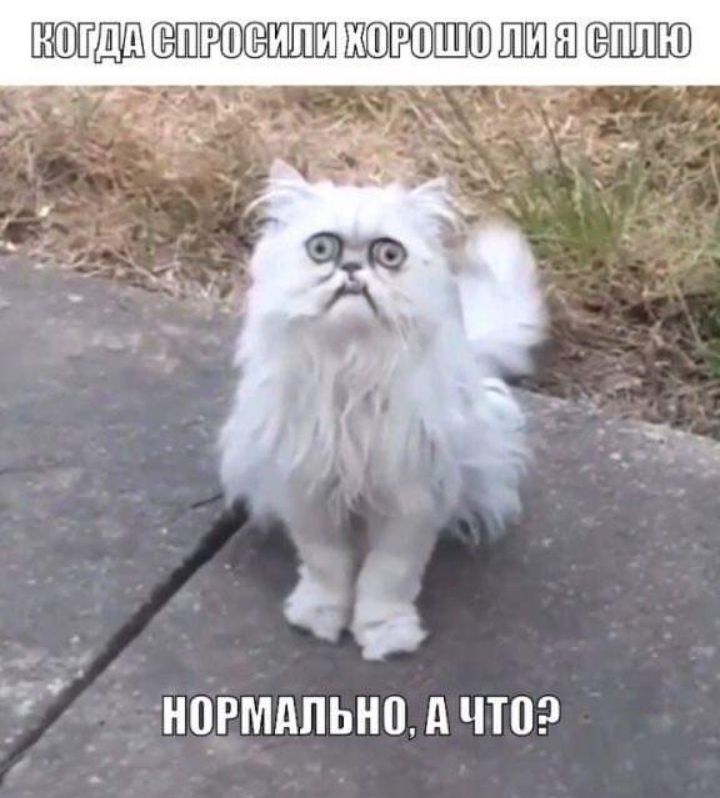 ПШТПРШШШШШШШШЮ 6 _ нпрмдпьнц д чта