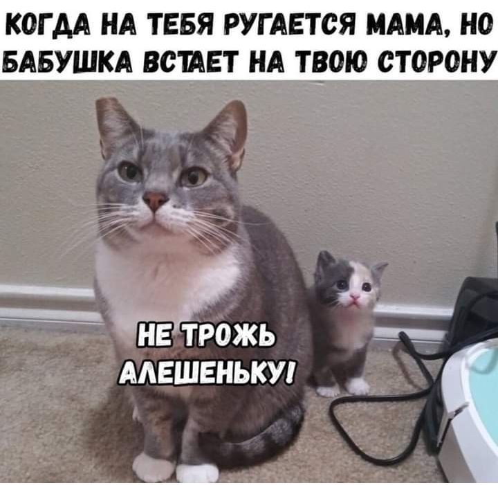 КОГ АА НА ТЕБЯ РУГАЕТОЯ МАМА НО БАБУШКА ВОПЕТ НА ТВОЮ СТОРОН __ __ЁіЁ Ь ТРОЖЬ ААЕШЕНЬКУ