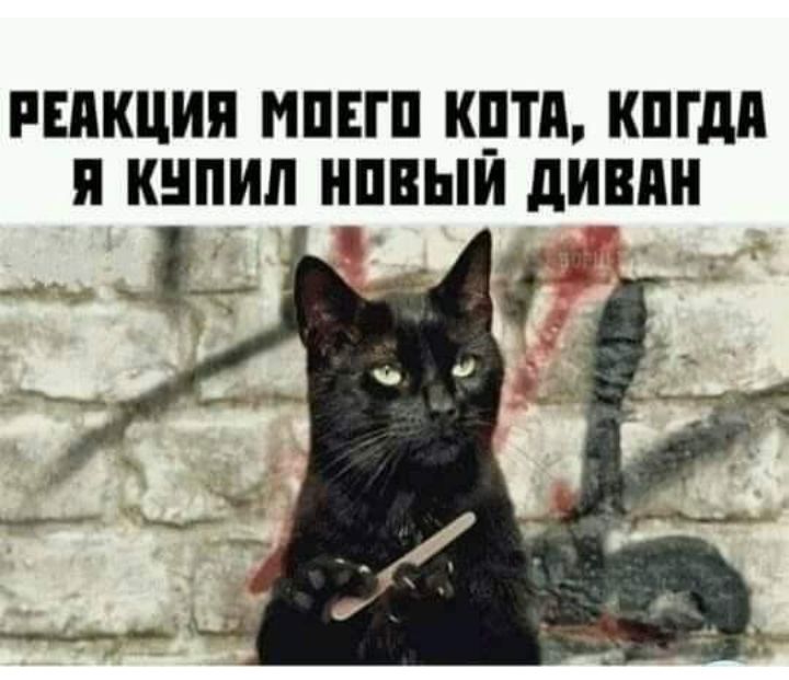 РЕМЩИП ИПЕГП КПТИ КПГдП КНПИП НПВЫЙ дИШШ