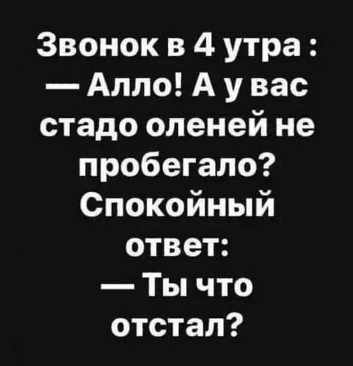 Звонок в 4 утра Алло А у вас стадо оленей не пробегало Спокойный ответ Ты что отстал