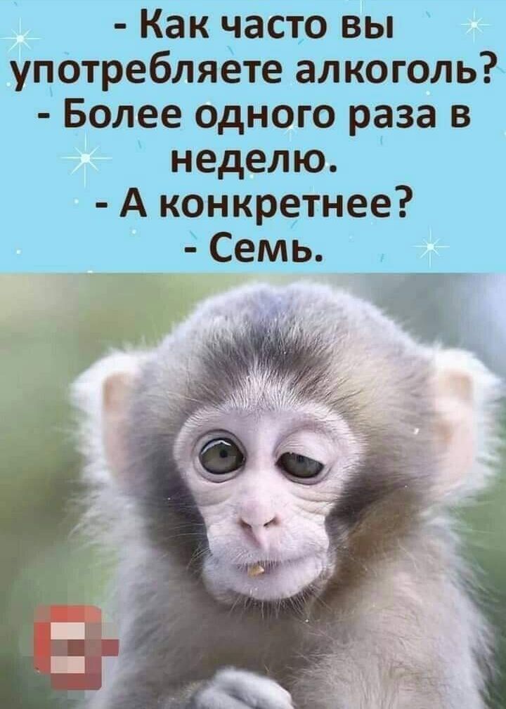 Как часто вы употребляёте алкоголь Более одного раза в неделю А конкретнее Семь