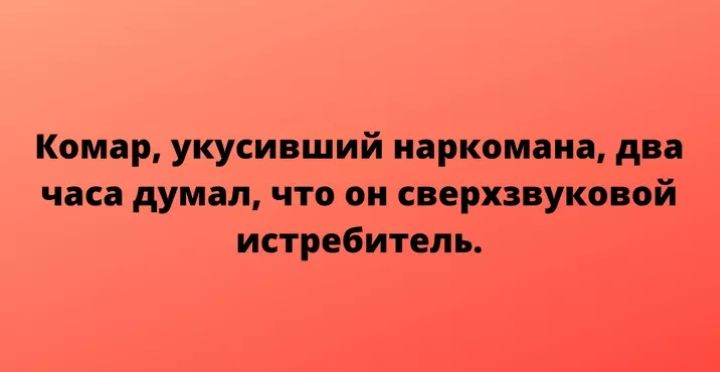Комар укусивший наркомана два часа думал что он сверхзвуковой истребитель