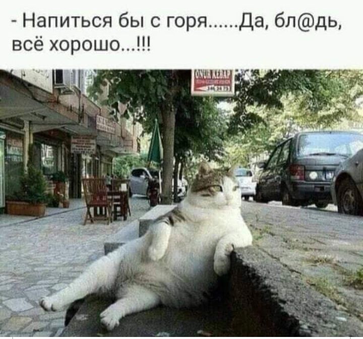Напиться бы с горя Да блдь всё хорошо