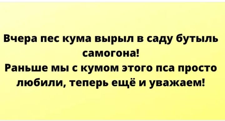 Вчера пес кума вырыл в саду бутыль самогона Раньше мы с кумом этого пса просто любили теперь ещё и уважаем