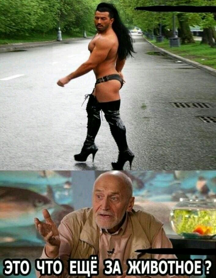 111 ЭТЩЧТО ЕЩЁ ЗА ЖИВОТНОЕЁ