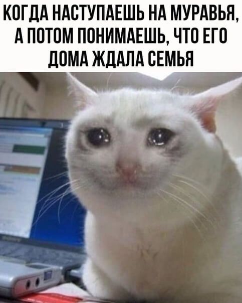 КОГДА НАОТУПАЕШЬ НА МУРАВЬН А ПОТОМ ПОНИМАЕШЬ ЧТО ЕГО ЛОМА ЖДАЛА ОЕМЬН