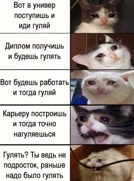 Вот в универ поступишь и иди гуляй Диплом получишь и будешь гулять Вот будешь работать и тогда гуляй Карьеру построишь и тогда точно нагупяешься Гулять Ты ведь не подросток раньше надо было гулять