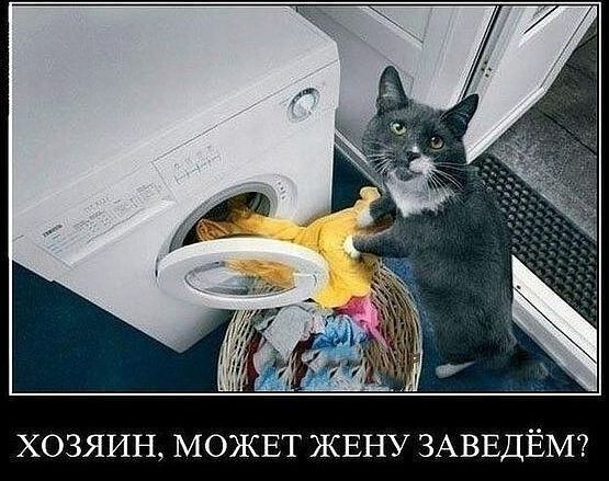 ХОЗЯИН МОЖЕТ ЖЕНУ ЗАВЕДЁМ