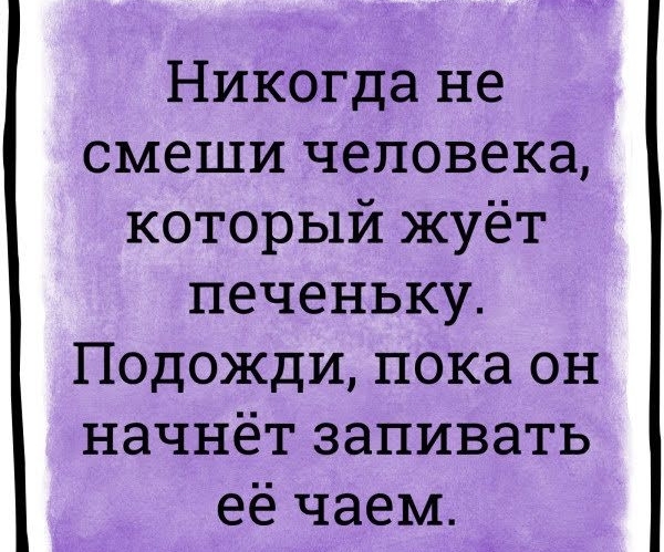 Никогда не смеши человека который жуёт печеньку Подожди пока он начнёт запивать её чаем