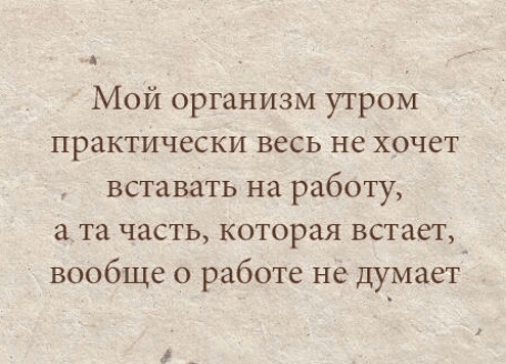 Мой организм утром практически весь не хочет вставать на работу а та часть которая встает вообще о работе не думает