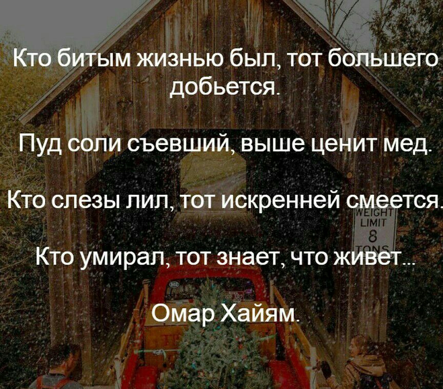 ым жизнью был тот боЕЬШего добьется Пуд соли съевший выше ценит мед Кто слезы лип тот искренней см ется Кто умирал тот знает что ЖИВет Омар Хайям