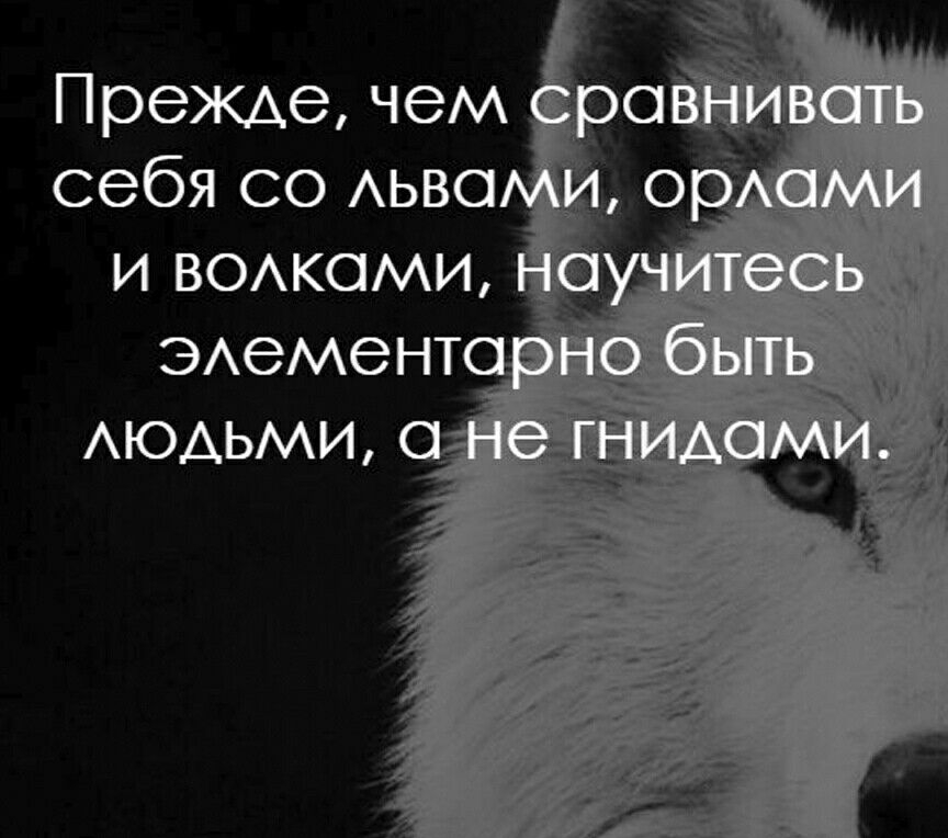 Прежде чем себя со Аьво и вожами ЭАемеНТО АЮАЬМИ о