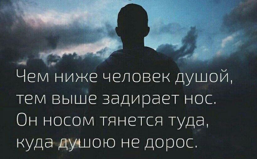 Чем ниже человек душой тем выше задирает нос Он носом тянется туда куда душою не дорос