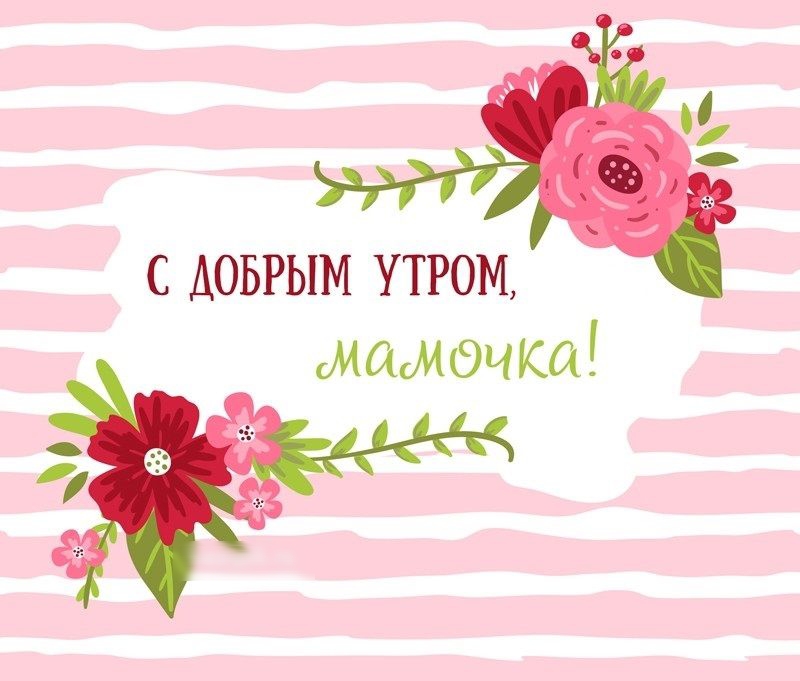 АОЬРЫМ утром МШИОЧ ка