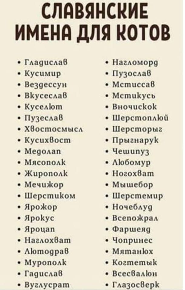 СЛПВЯНСКИЕ ИМЕНд дЛЯ КОТОВ Гдаецсдае Нагдоморц Кусимцр Пузослав Везаессуп Мстпссав ВКусссдаВ МспшКусь Кусадот ВмочцсКок ПузеСАаБ Шерстопдіой ХВостосмым Шерсторыг КусихВост ПрыгиаруК Мецашп Чешипуз Мясополк Мобомур Жирополк Ногохбат МсчцЖор Мышсбор Шерстціюм Шерстсмпр ЯроЯюр Ночебдуо ЯроКус ВсепоЖраА Ярочап Фаршеяя НагдохВат Чоприпес Мотоярав МятпнЪох МуропОАК Когтетык ГауцсАаВ ВсесВаАЬи Вугдусрвт 