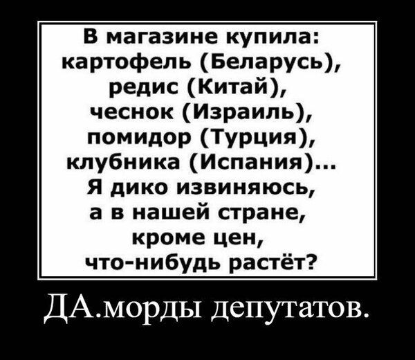 В магазине купила картофель Беларусь редис Китай чеснок Израиль помидор Турция клубника Испания Я дико извиняюсь а в нашей стране кроме цен что нибудь растёт ДАМорДЫ Депутатов