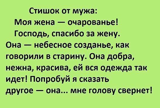 Стишок от мужа Моя жена очарованье Господь спасибо за жену Она небесное созданье как говорили в старину Она добра нежна красива ей вся одежда так идет Попробуй я сказать другое она мне голову свернет