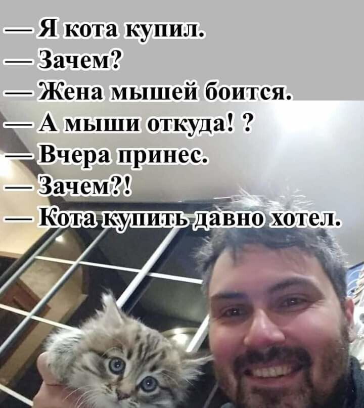 Я кота купил Зачем Жена мышей боится А мыши откуда _Вче а п инес Р Р Зачем Котіакупитьда_нъ хол Й