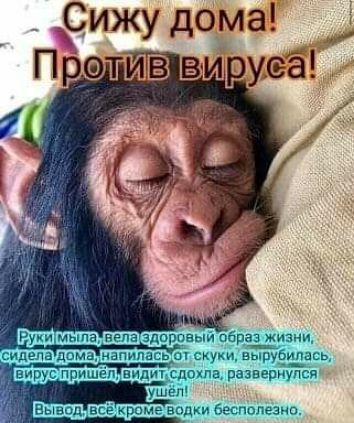 _Сижу дома против вирусё