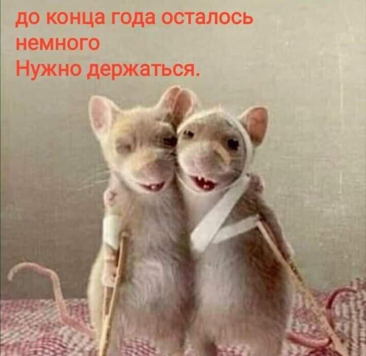 до конца года осталось немного Нужно держаться