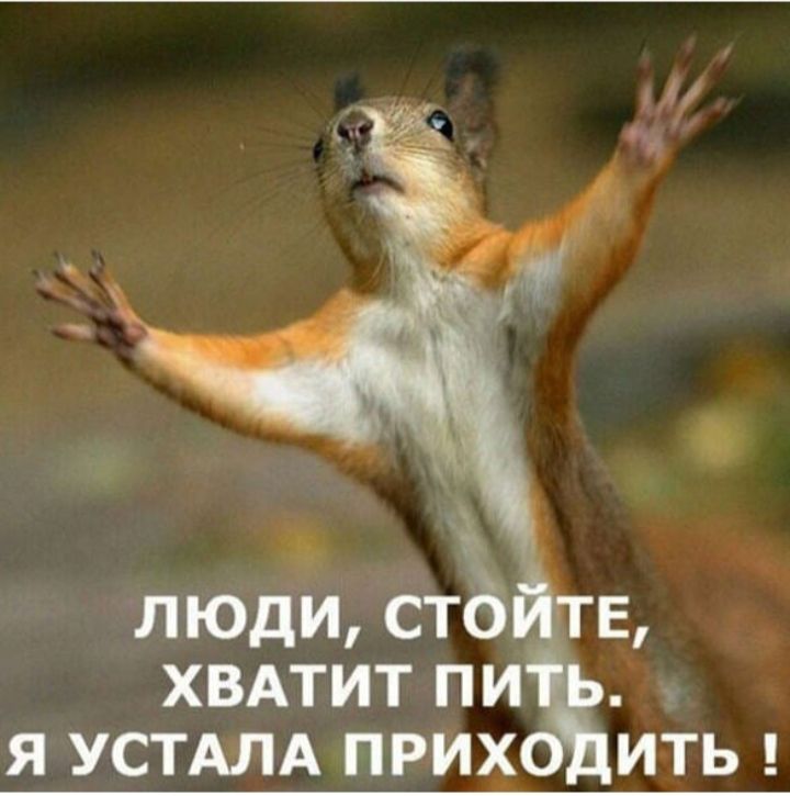 люди сть хвдтит пи я устдлд прих ить