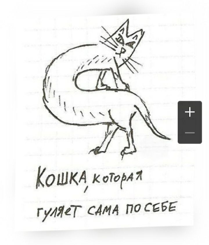 КОШКА К оТом Я гулЯеТ сми по СЕБЕ