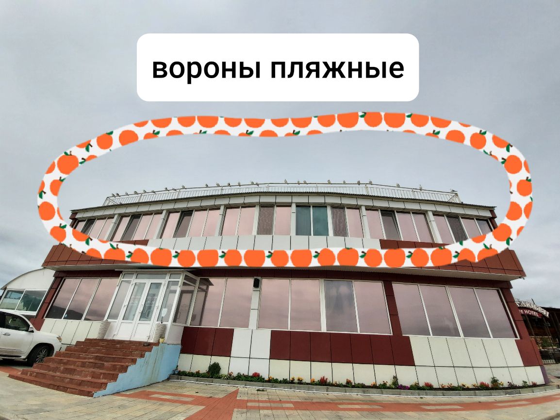 ВОРОНЫ ПЛЯЖНЫЭ