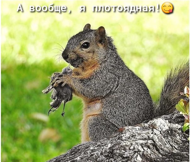 А эиобща 1 пишущую