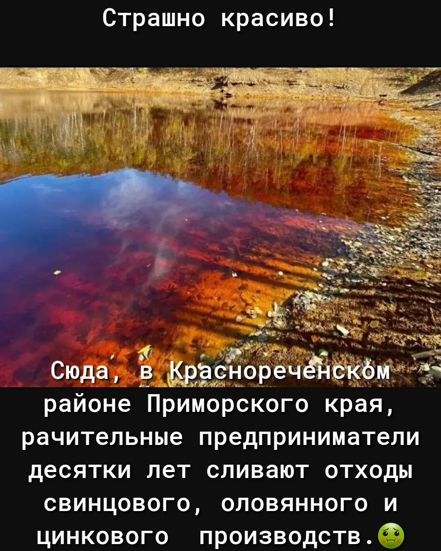 Страшно красиво Сюда Ё ёраёйоречёйскё районе Приморского края рачительные предприниматели десятки лет сливают отходы свинцового оловянного и цинкового производств