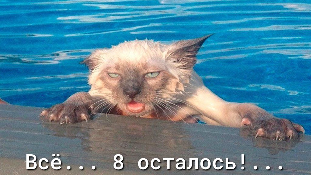 _Всё 8 осталось