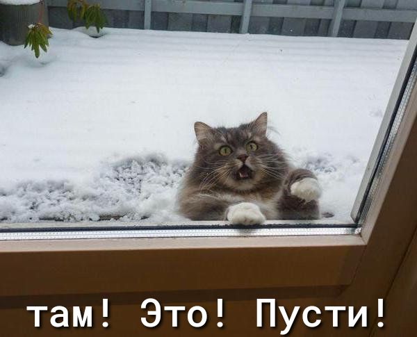 там Это Пусти