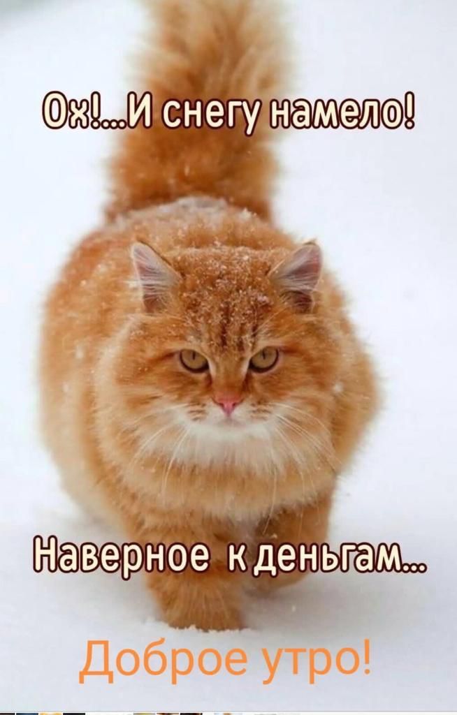 Ох!.. И снегу намело! Наверное к деньгам... Доброе утро!