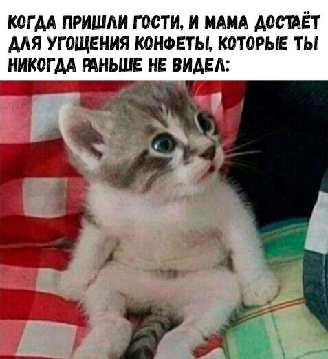 КОГ М ПРИШЛИ Г ООТИ И МАМА АОСИЁТ ААЯ УГ ОЩЕНИЯ КОНФЕТЫ КОТОРЫЕ ТЫ НИКОГДА РАНЬШЕ ИЕ ВИДЕЛ дмг