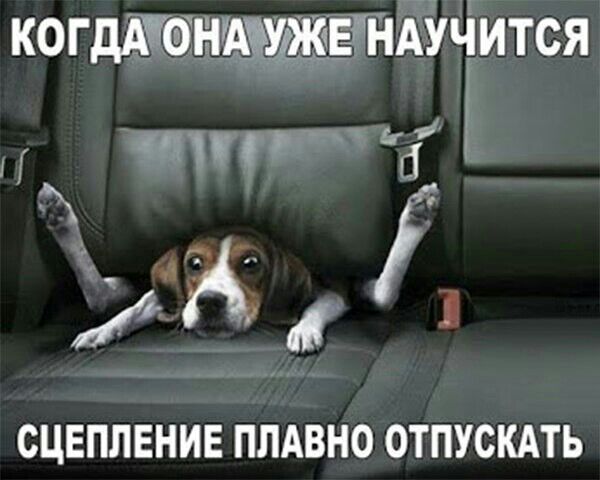 когдТАхоінщуждч ЕЛНЁЁЧится Г ь ЕГ СЦЕПЛЕНИЕ ПЛАВНО ОТПУСКАТЬ