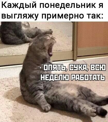 Каждый понедельник я выгляжу примерно так